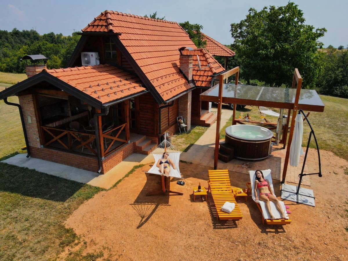 Brvnara Vila Promaja Кладово Экстерьер фото